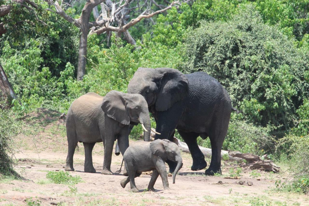 Tlou Safari Lodge Kasane Eksteriør billede
